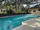 Cool, clean, sparkling screened-in in-ground pool surrounded by lush, mature landscaping at 1629 Travelers Palm Dr, Edgewater, FL 32132