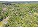 Expansive aerial view of a secluded property surrounded by lush greenery and mature trees, offering privacy at 1663 Hideaway Ln, Edgewater, FL 32132