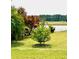 Lush green backyard featuring a variety of colorful plants near the water at 181 Caryota Ct, New Smyrna Beach, FL 32168