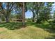 Sprawling front yard with mature trees offering ample shade and a glimpse of the house at 1905 Pine Tree Dr, Edgewater, FL 32141