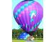 Vibrant hot air balloon decorated with playful dolphin graphic against a sunny sky at 2236 Davis Dr, New Smyrna Beach, FL 32168