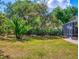 Spacious backyard featuring verdant lawn and lush tropical trees, perfect for outdoor enjoyment and relaxation at 2656 Old Smyrna Trl, New Smyrna Beach, FL 32168
