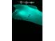 Nighttime view of a glowing swimming pool with turtles swimming near the bottom at 2656 Old Smyrna Trl, New Smyrna Beach, FL 32168