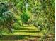 Picturesque acreage view showing the property line and private land with a wooden fence and lush green grass at 2656 Old Smyrna Trl, New Smyrna Beach, FL 32168