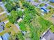 Aerial view of land surrounded by lush greenery and mature trees in a quiet neighborhood at 3013 Lime Tree Dr, Edgewater, FL 32141