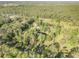 Extensive aerial view of a property with a pond, home, and outbuildings nestled within a dense forest at 416 Western Rd, New Smyrna Beach, FL 32168