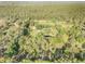 Expansive aerial view of a property nestled among trees and serene surroundings with a small pond nearby at 416 Western Rd, New Smyrna Beach, FL 32168