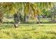 View of an open backyard with lush grass where wild turkeys roam freely among mature trees on a sunny day at 416 Western Rd, New Smyrna Beach, FL 32168