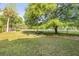 Expansive green backyard with mature trees providing shade and privacy at 416 Western Rd, New Smyrna Beach, FL 32168