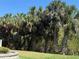 Lush yard featuring mature palm trees and colorful flowerbeds at 468 Bouchelle Dr # 128, New Smyrna Beach, FL 32169