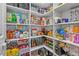 Walk-in pantry with abundant shelving providing ample storage space at 5607 Estero Loop, Port Orange, FL 32128