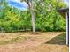 Backyard view with lush green trees at 808 Rosalia Dr, Sanford, FL 32771