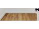 A close-up of the hallway flooring showcases its appealing wood grain texture and neutral color at 808 Rosalia Dr, Sanford, FL 32771