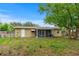Spacious backyard featuring a screened in porch, fresh exterior paint, new fencing, and a large mature tree at 1364 W Hartley Cir, Deltona, FL 32725