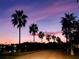 Scenic street view lined with swaying palm trees silhouetted against a stunning twilight sky at 2530 Tamarind Dr, Edgewater, FL 32141
