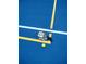 A bright blue pickleball court with white and yellow boundary lines, along with two pickleball paddles and a yellow ball at 11222 Rapallo Ln, Windermere, FL 34786