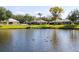 Scenic lake view featuring ducks swimming and homes with lush green lawns and tropical trees in the background at 1688 Town Park Dr, Port Orange, FL 32129