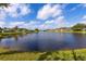 Wide view of community pond surrounded by homes with screened lanais and lush lawns at 1688 Town Park Dr, Port Orange, FL 32129