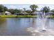 Picturesque view of a pond featuring a fountain, waterfowl, and nearby houses at 1688 Town Park Dr, Port Orange, FL 32129