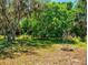Mature trees and lush greenery create a private and inviting backyard oasis at 242 Cypress Ave, Oak Hill, FL 32759