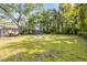 A lush backyard with verdant grass and mature trees, providing a private and serene outdoor setting at 431 Palmetto St, Edgewater, FL 32132