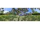 Expansive backyard featuring lush lawn, mature trees providing shade, and a charming home with a welcoming porch at 508 Faulkner St, New Smyrna Beach, FL 32168