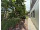 Side yard featuring lush greenery, mature trees, and a well-maintained walkway at 6361 Turtlemound Rd, New Smyrna Beach, FL 32169