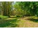 Lush backyard featuring mature trees and bamboo providing a private, natural setting at 706 S Timberlane Dr, New Smyrna Beach, FL 32168