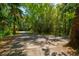 Long concrete driveway surrounded by dense, mature trees, offering privacy and a sense of natural beauty at 706 S Timberlane Dr, New Smyrna Beach, FL 32168