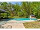 Inviting in-ground pool surrounded by lush bamboo, palm trees, and a pool house at 706 S Timberlane Dr, New Smyrna Beach, FL 32168