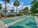 Community shuffleboard courts surrounded by green lawns and mature trees at 706 Sky Tree Ct, New Smyrna Beach, FL 32168
