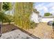 A peaceful shed in the backyard amid vibrant bamboo plants at 995 16Th St, Edgewater, FL 32132
