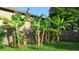 View of backyard with banana trees and wood fence at 114 Hickory St, New Smyrna Beach, FL 32168