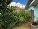 Lush foliage surrounds a wooden fence, creating a serene and private outdoor space at 114 Hickory St, New Smyrna Beach, FL 32168
