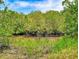 Lush greenery surrounds a calm waterway, creating a serene and natural setting at 1307 Wayne Ave, New Smyrna Beach, FL 32168