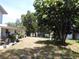 Spacious backyard with mature trees near the side of the home, offering shade and privacy at 1627 Umbrella Tree Dr, Edgewater, FL 32132