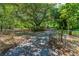 Long driveway shaded by mature trees offering privacy and leading to the charming home at 1786 Taylor Rd, Port Orange, FL 32128