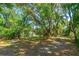 Expansive lawn with mature trees providing ample shade and privacy at 1786 Taylor Rd, Port Orange, FL 32128
