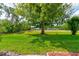 Lush front yard featuring mature tree, well-maintained lawn, and view of neighborhood homes at 1903 Sprucewood Way, Port Orange, FL 32128