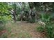 Secluded backyard featuring beautiful landscaping, mature trees, and a tranquil setting at 2107 Saxon Dr, New Smyrna Beach, FL 32169