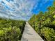 Scenic boardwalk path through lush green vegetation under a bright, partly cloudy sky at 250 Minorca Beach Way # 206, New Smyrna Beach, FL 32169