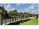 Beautiful palm tree lined street view showcasing lush landscaping and a glimpse of nearby buildings at 250 Minorca Beach Way # 206, New Smyrna Beach, FL 32169