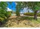 Spacious front yard with mature trees, tropical plants, and a long driveway leading to the charming home at 2576 Sunset Dr, New Smyrna Beach, FL 32168