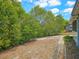 Exterior shot of the backyard with mature trees and space for outdoor activities at 2802 English Dr, Deltona, FL 32738