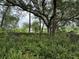 Lush landscaping with ferns and mature trees creating a serene and private outdoor space at 3625 Pioneer Trl, New Smyrna Beach, FL 32168