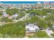 Aerial view displays homes among trees near ocean and coastline at 3808 Saxon Dr, New Smyrna Beach, FL 32169