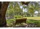 Relaxing tree swing overlooking a tranquil pond, creating a serene and picturesque setting at 4580 Lake James Cir, Edgewater, FL 32141