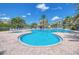 A beautiful pool area featuring palm trees and lounge chairs by the pool side at 4670 Links Village Dr # D206, Ponce Inlet, FL 32127