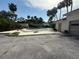 Backyard featuring an in-ground pool, mature palm trees, and surrounding greenery at 5018 Riverside Dr, Port Orange, FL 32127