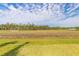 Large yard with a view of the forest at 6456 Roseberry Ct, Port Orange, FL 32128